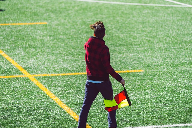 的出色表现 的出色表现