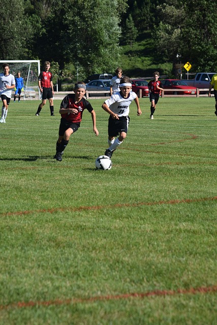 心理素质和 心理素质和