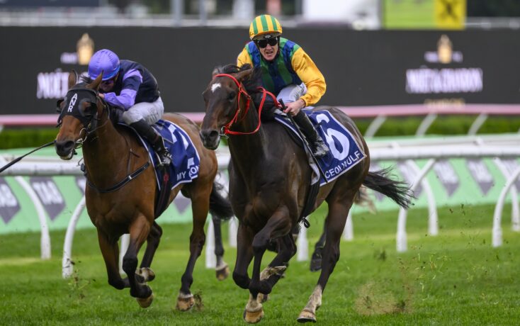 临诸多伤病 临诸多伤病